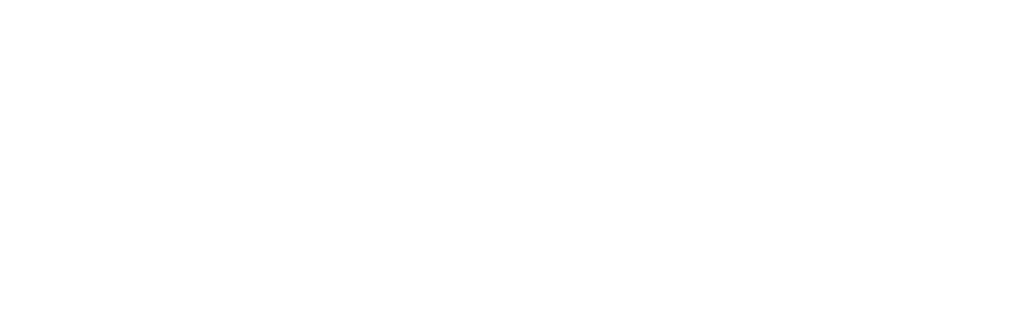 Concept Necto